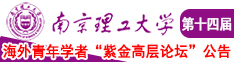 欧美黑人操逼高潮大屌图视频小说南京理工大学第十四届海外青年学者紫金论坛诚邀海内外英才！